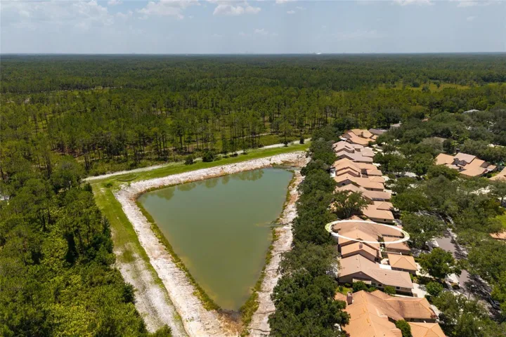 Aerial view lake and neighborhood