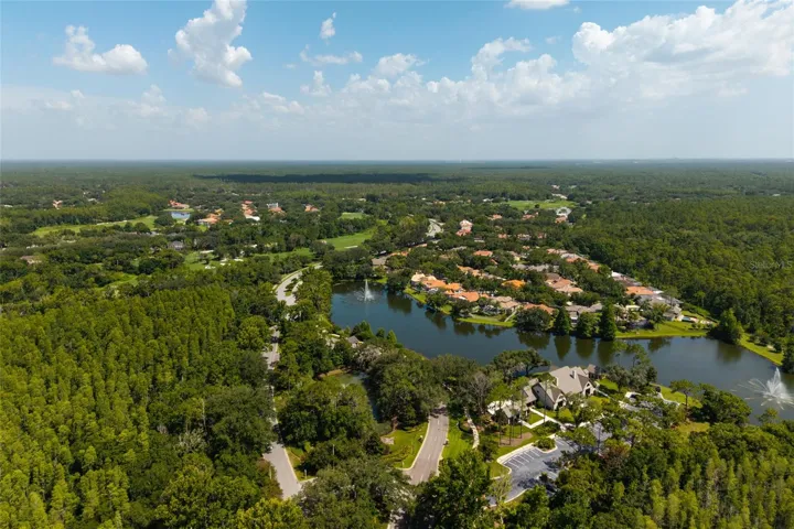 aerial view lake and preserve