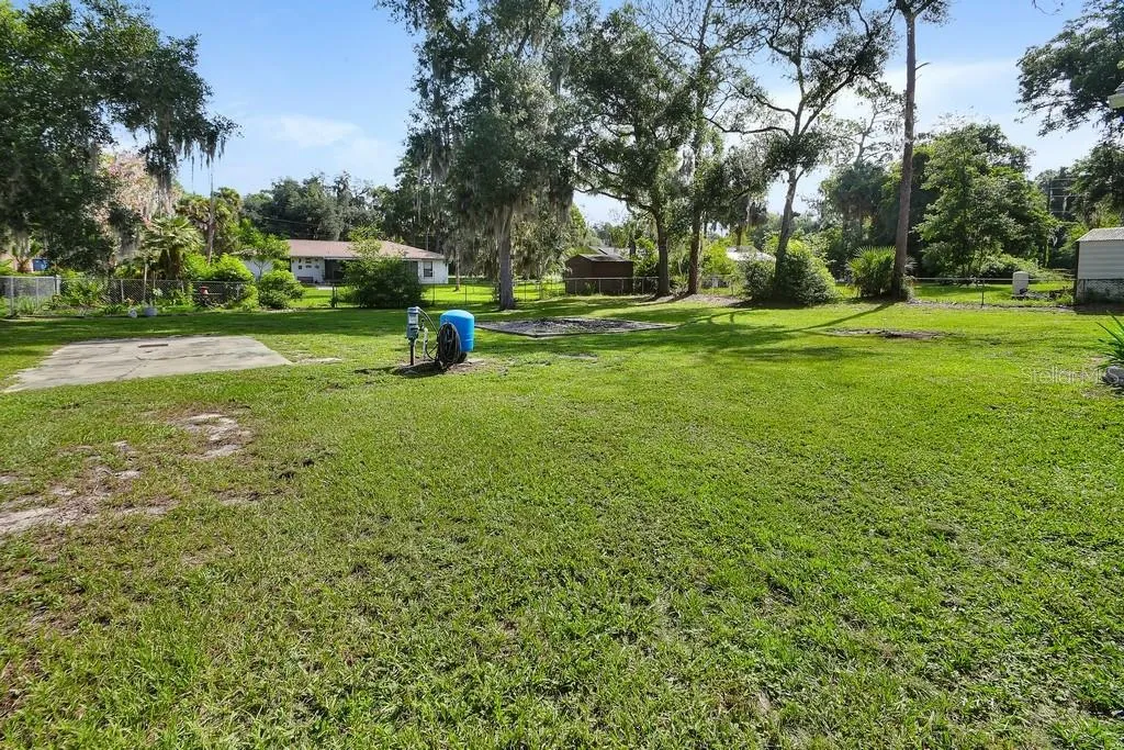 Large Backyard