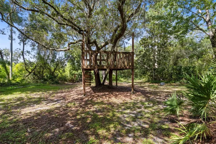Many areas to explore on your over 1 acre of land