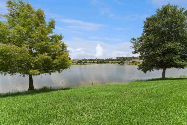 Pond view from behind the home