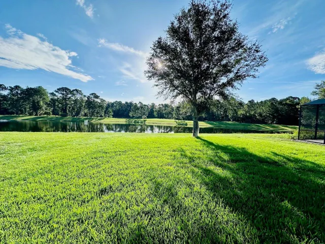 BACKYARD/ VIEW