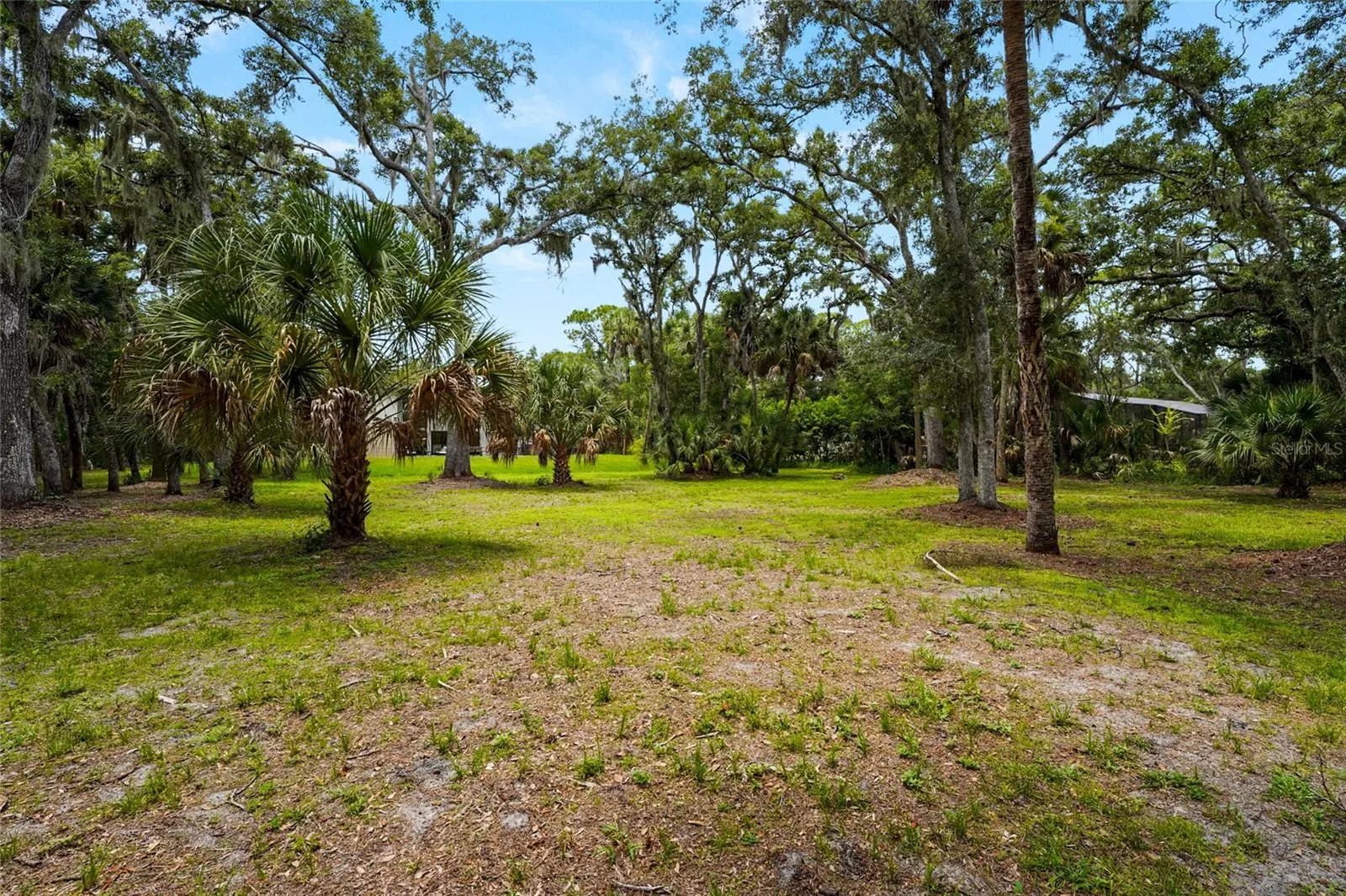 Just over 1 acre of beautifully wooded and secluded property
