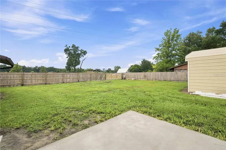 Backyard