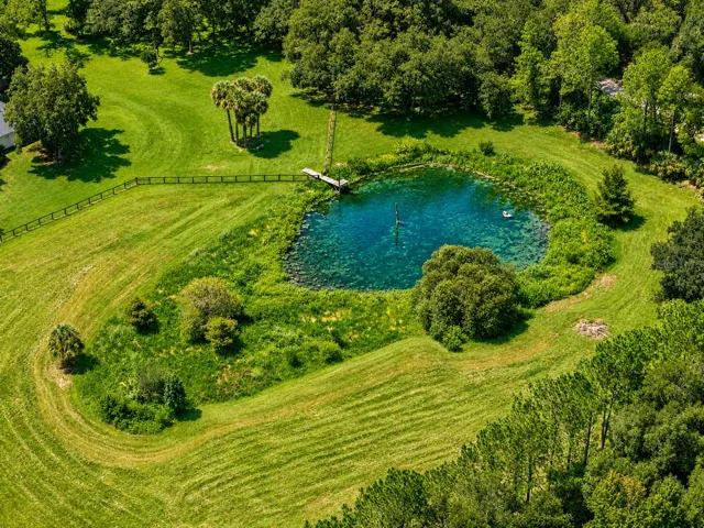 pond view