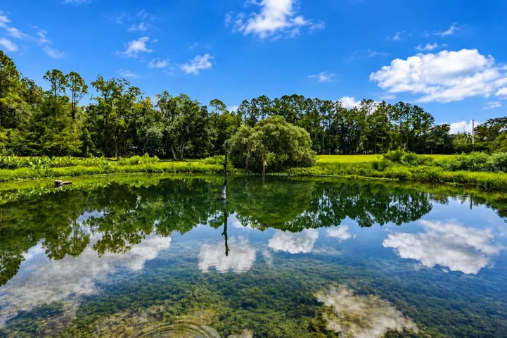 pond