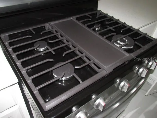 Gas Range