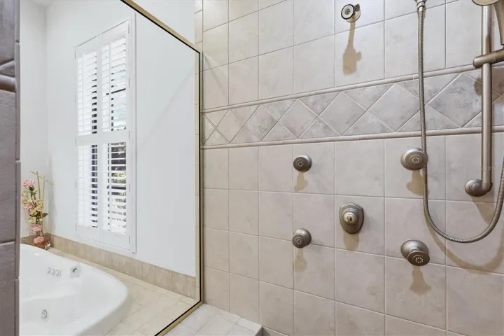 Primary Bath - Roman Shower