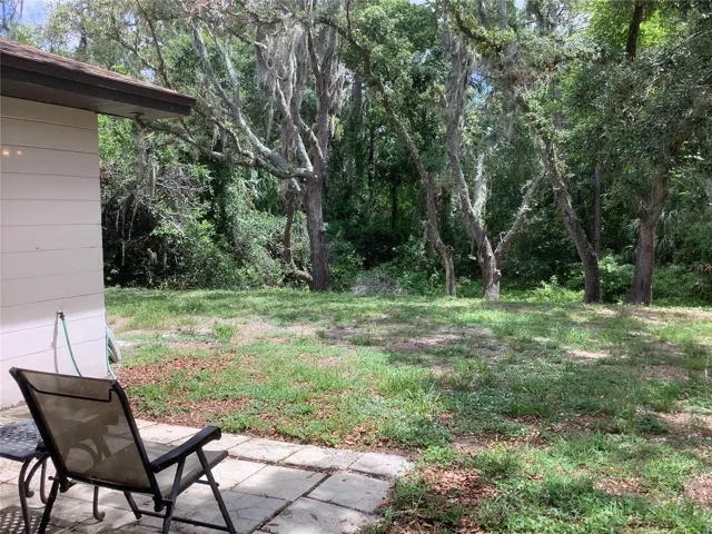 Back yard