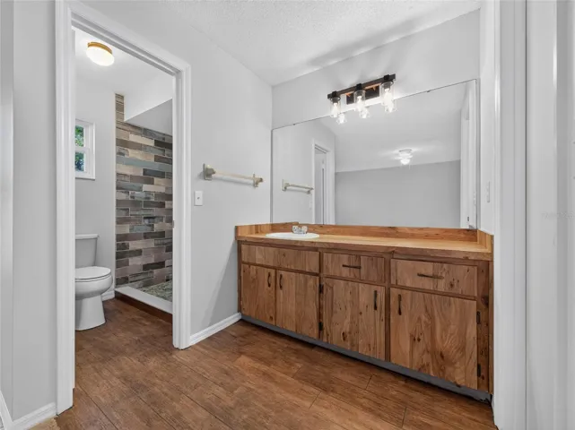 Primary Bath Vanity Area