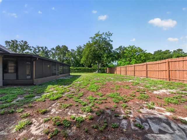 Fenced-in Back Yard