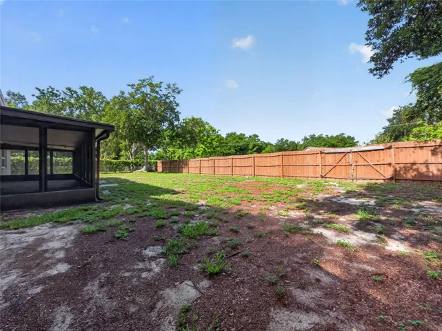 Back Yard