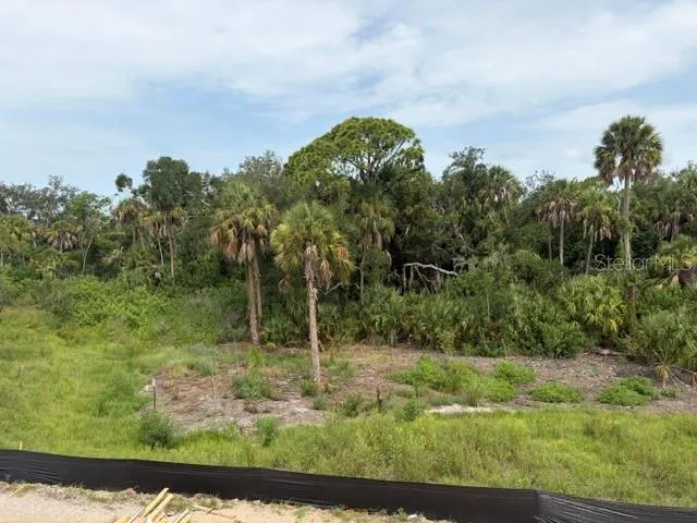 Private backyard conservation views
