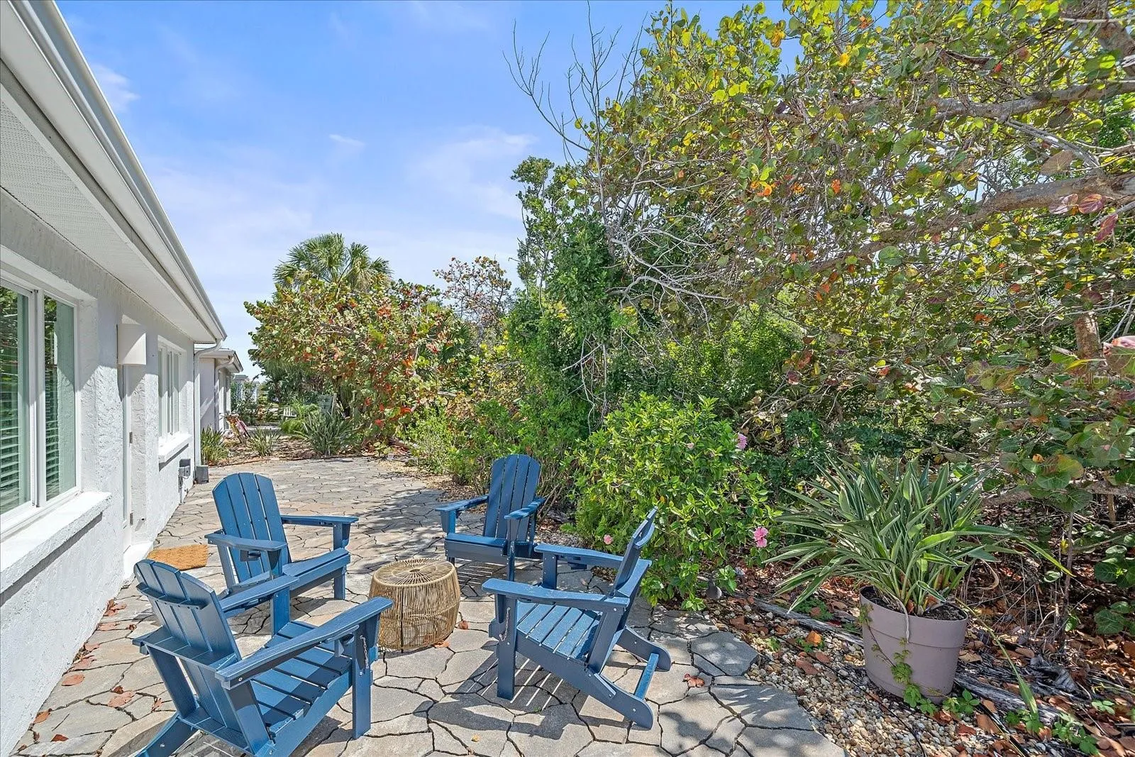 Rear Patio