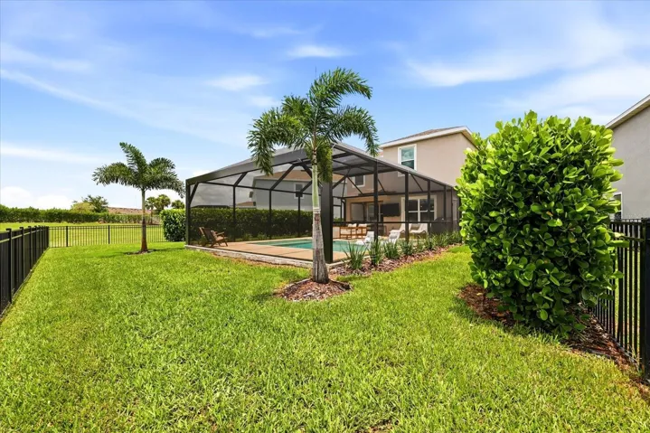 CLUSIA PRIVACY HEDGE ON BOTH SIDES