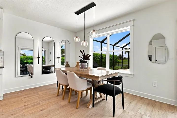 NATURAL LIGHT IN DINING