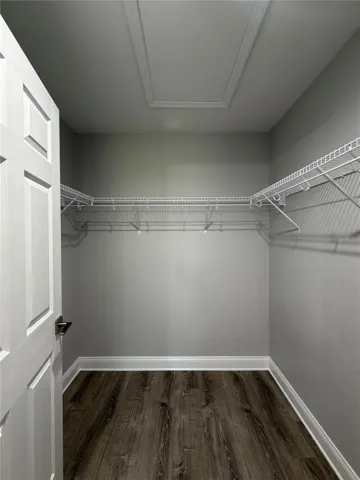 Primary Closet