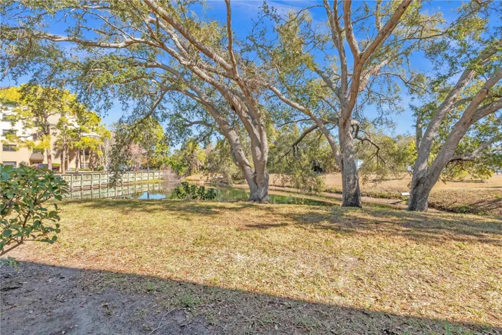 Serene pond and mature oak tree views enjoyed right from your private lanai