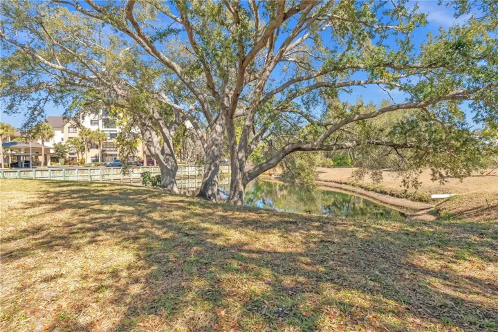 Serene pond and mature oak tree views enjoyed right from your private lanai