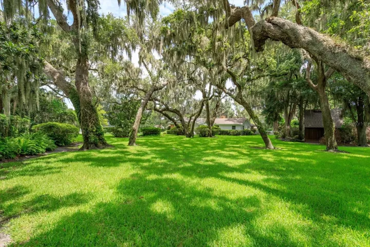 View of Lot from SE corner toward Gran Lac Ave