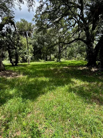 Backyard View of Lawn