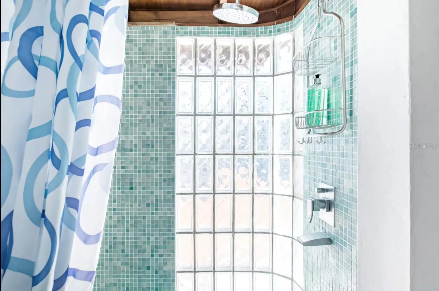 Penthouse bathroom shower.