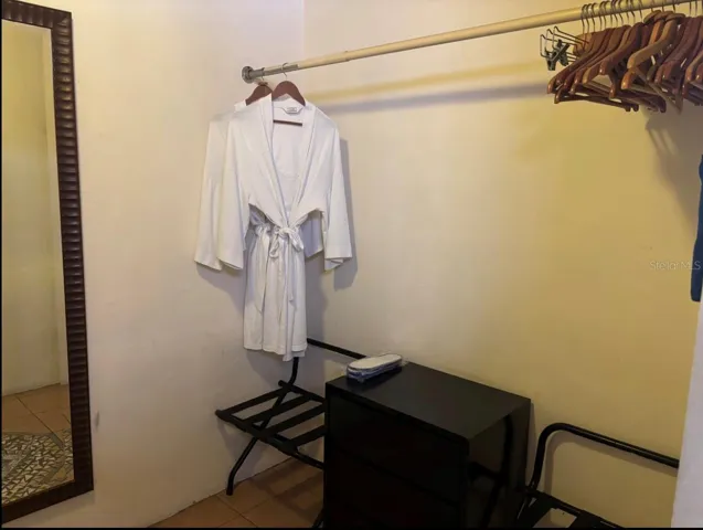 Penthouse Walk-in Closet