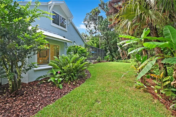 Side yard.
