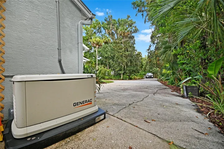 Whole house generator.
