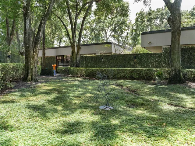 View of the backyard