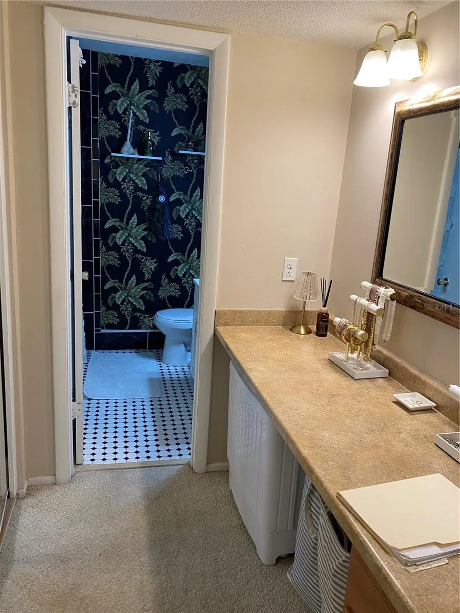 Dressing Area