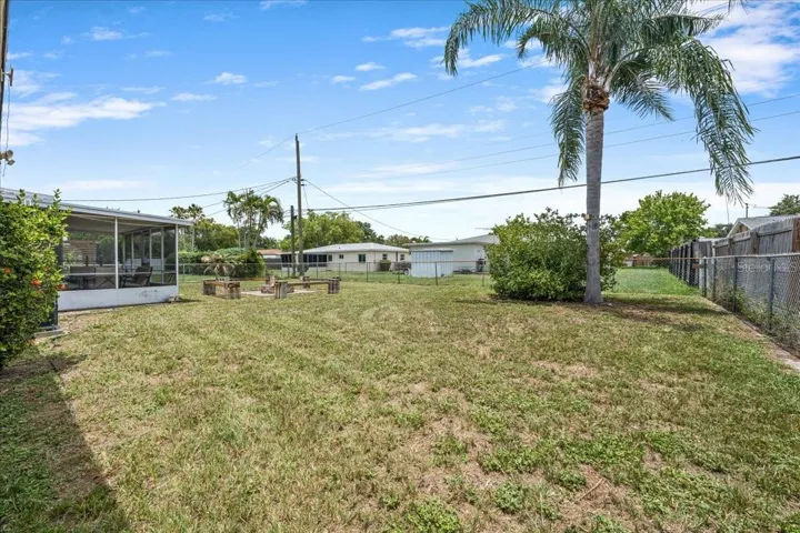 Huge lot size overall- with palm tree!