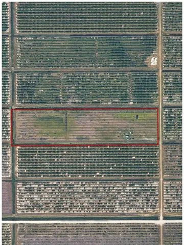 Property Appraiser Aerial