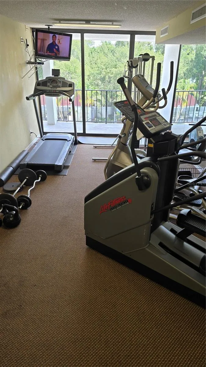 In building Gym when you just dont want to go