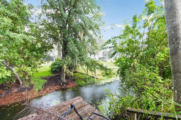 rear canal