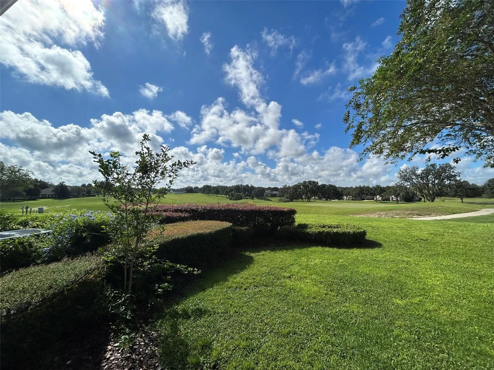 Golf course view from back patio