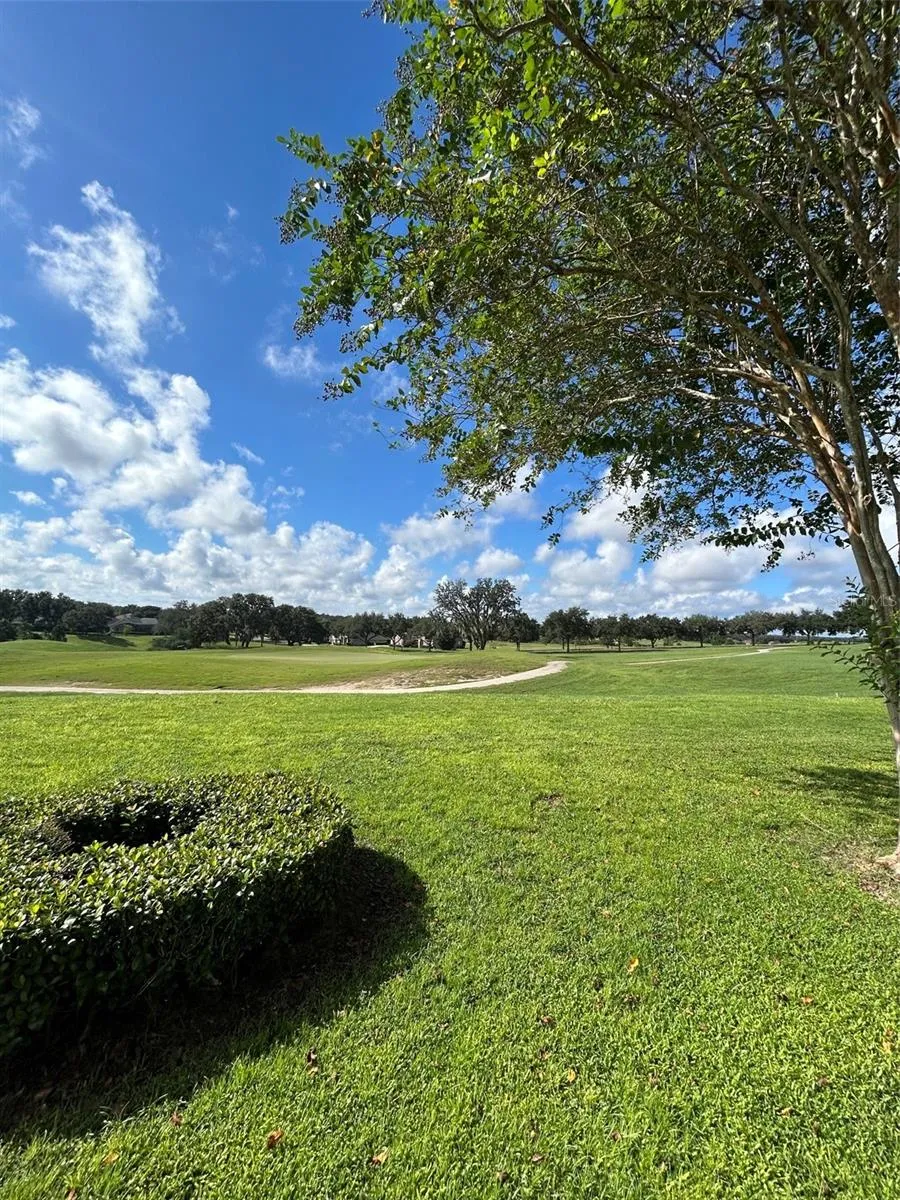 Golf course view from back patio