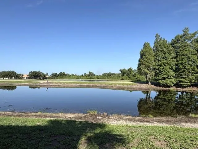 Every morning, this lovely view greets you.  Water fowl, distant Renaissance Club golfers, a beautiful green space is always in view just outside your back door.