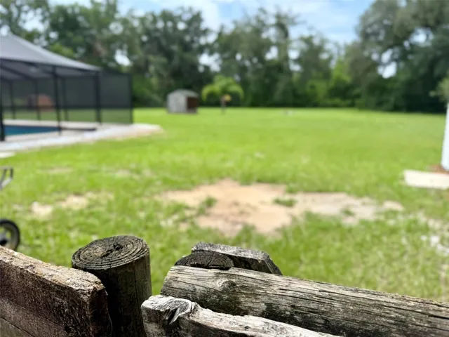 Backyard