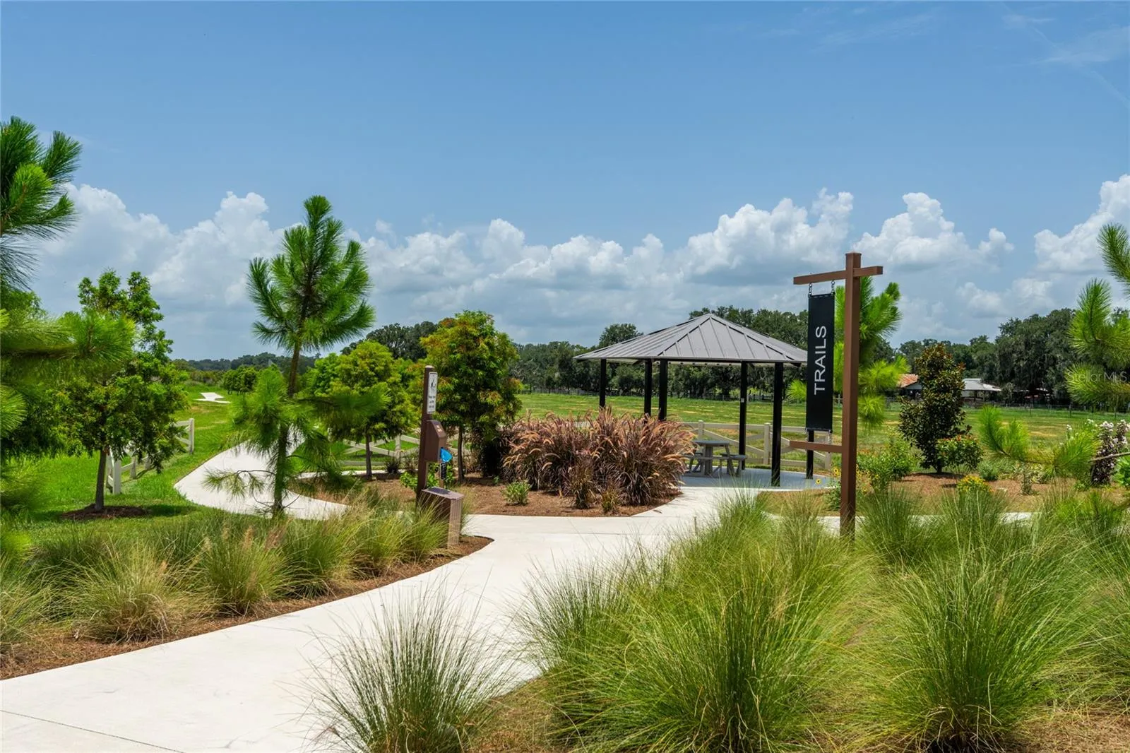 3520 Maple Grove Way, Plant City, Florida 33565 — photo 53
