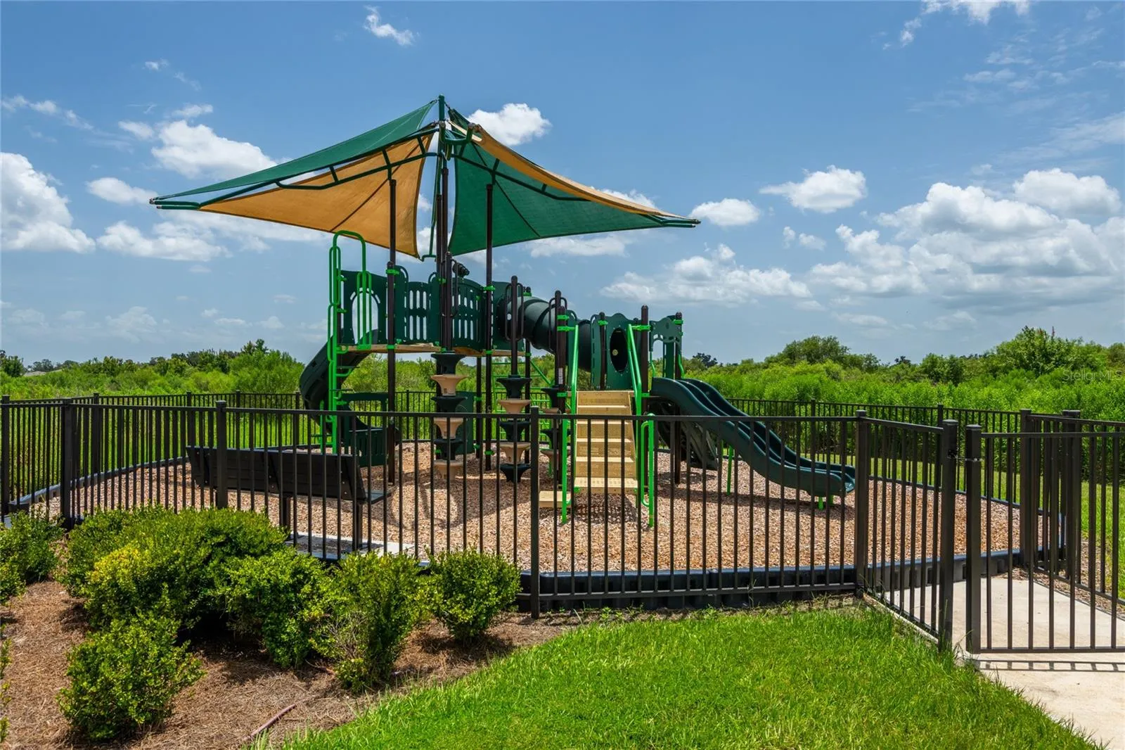 3520 Maple Grove Way, Plant City, Florida 33565 — photo 45