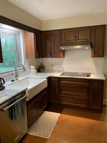 kitchen vent hood with light
