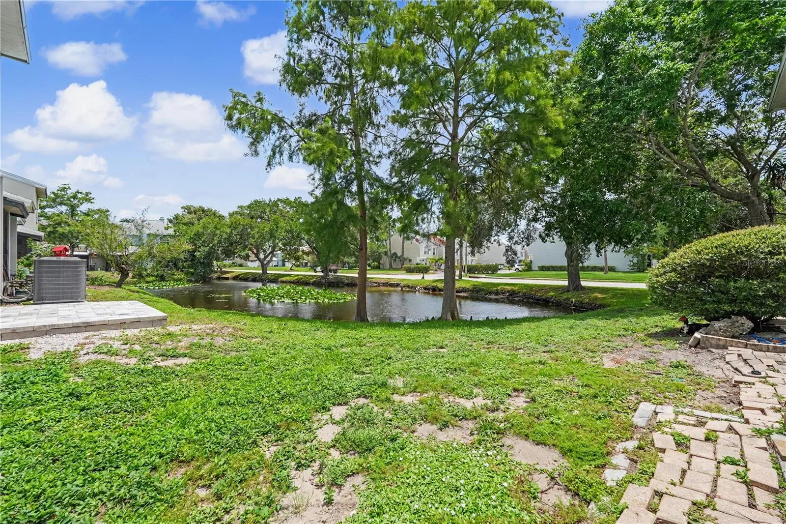 Pond view