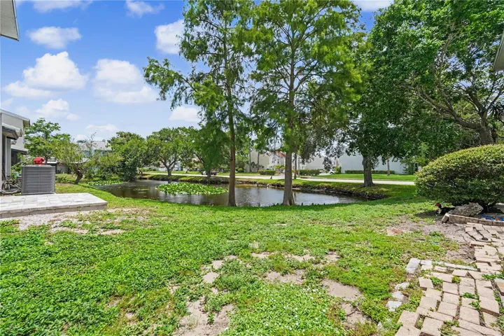 Pond view