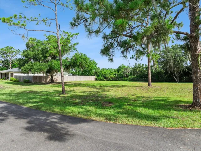 Extended Lot next door