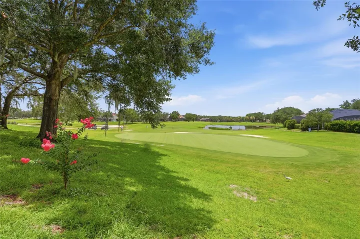 Golf Course View