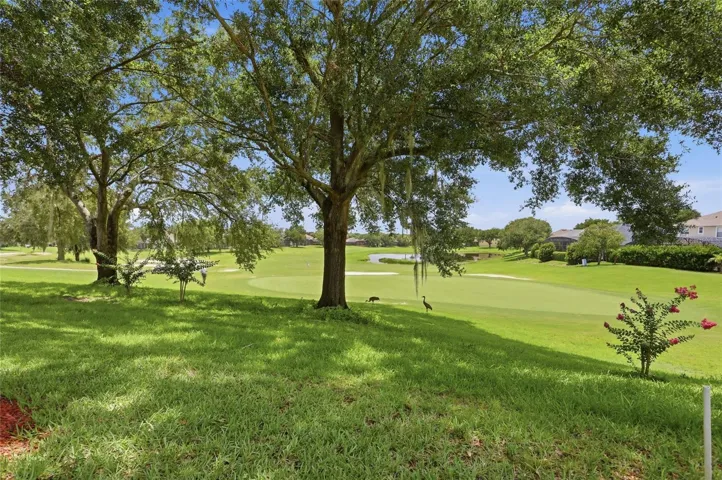Golf Course View