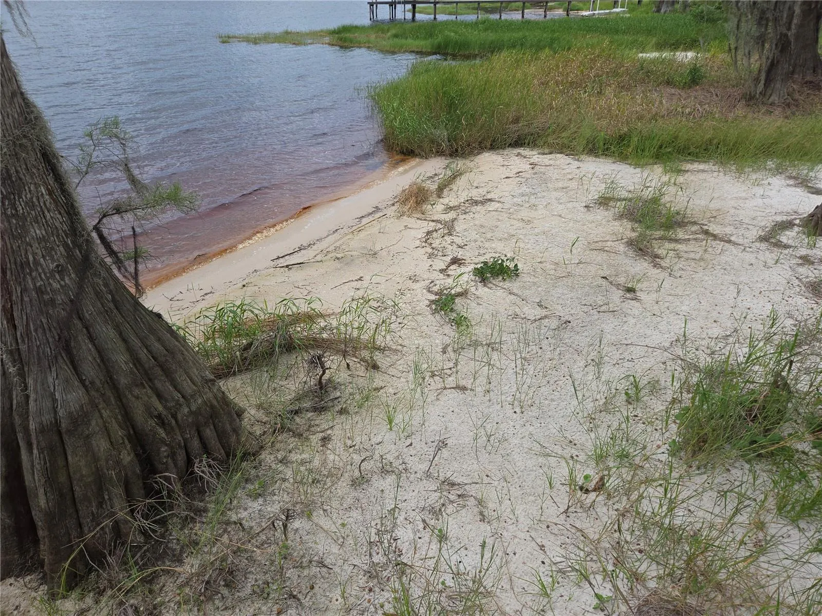 Beach area