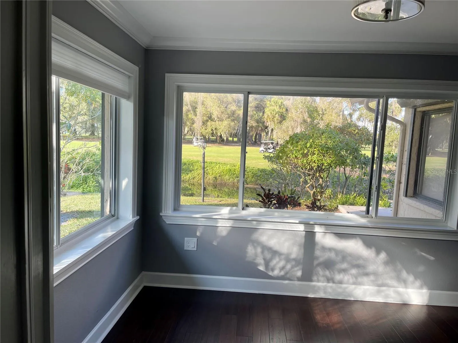 Dining Room Windows/view