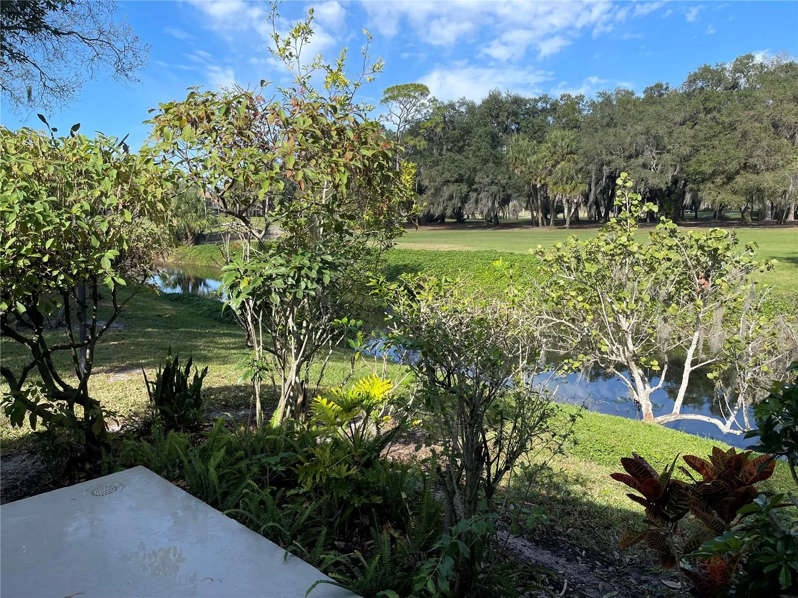 Rear View of Creek/Golf Course